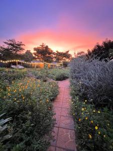 a walkway through a field of flowers at sunset at Paksong Farmstay Gia Lai - Venuestay in Pleiku