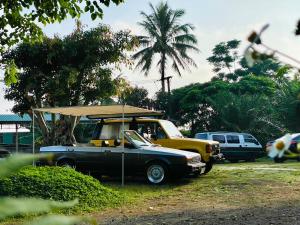 an old car with a tent on top of it at Paksong Farmstay Gia Lai - Venuestay in Pleiku