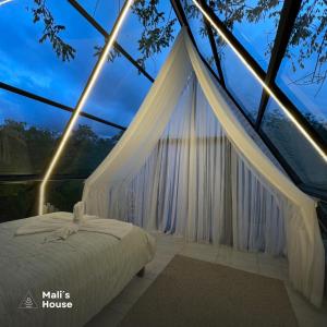 a bedroom with a canopy bed in a glass house at Mali's House in Fortuna