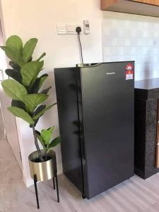 une plante dans un pot à côté d'un réfrigérateur noir dans l'établissement Casa tiga homestay besut, à Kampung Kuala Besut