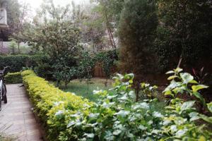 einen Garten mit einer Reihe von Pflanzen und Blumen in der Unterkunft Lisianthus 2BR Apt with Garden View in Maadi in Kairo