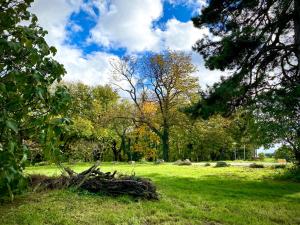 un campo de césped con árboles y un cielo azul en Gîte de Corsas, en Saint-Victor 3 fotos más