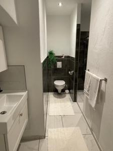 A bathroom at Appartements Slishani 2