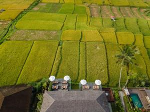 an aerial view of a field with tables and chairs at Kappa Senses Ubud in Ubud