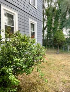 a house with a bush in front of a yard at Cargo7 Cozy suites2 in North Providence
