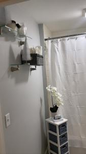 a bathroom with a shower curtain and a table with a plant at Cargo7 Cozy suites2 in North Providence
