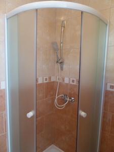 a shower with a glass door in a bathroom at Rose Apartments in Ičići
