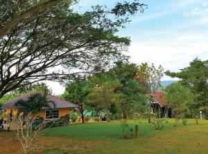 a house in the middle of a field with trees at Viewsuay Farsai Wangnamkaew in Wang Nam Khieo