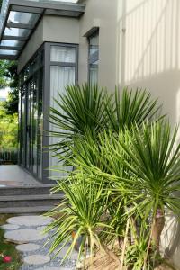 a house with palm trees in front of it at BeLam in Hue Villa in Hue