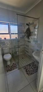 a bathroom with a shower and a toilet and a sink at Quaint Family home, walking distance to the beach in Cape Town