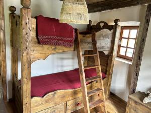 a bunk bed in a room with a ladder at La casa sul fiume in Oulx