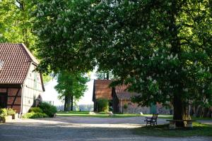 un banco sentado bajo un árbol al lado de una casa en Beekenhof Ferienwohnung für Monteure, en Bommelsen
