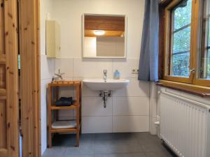 a bathroom with a sink and a mirror at Ulmenhof Melfsen in Oeversee