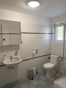 Kúpeľňa v ubytovaní Apartmány Nad Rybníkem