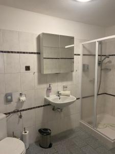 Kúpeľňa v ubytovaní Apartmány Nad Rybníkem