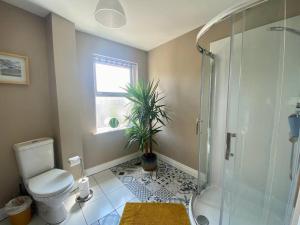 ein Badezimmer mit einer Dusche, einem WC und einer Pflanze in der Unterkunft Ballycastle Modern Town House in Ballycastle