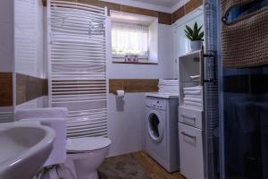 a bathroom with a toilet sink and a washing machine at Kovářská vyhlídka in Kovářská