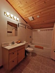 a bathroom with a sink and a toilet and a tub at Alpine Meadows Lodge in Golden