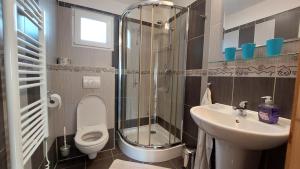 a bathroom with a shower and a toilet and a sink at Apartmány U Potoka in Dolní Moravice +22 photos