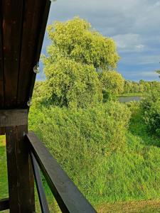a wooden bench with a view of a lake at Namelis Gluosnė in Rusnė