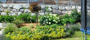 A garden outside Hinterramsebn