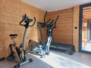 Les Chalets du Lac Belcaire的健身中心和/或健身设施