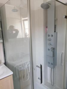 y baño con ducha y puerta de cristal. en Chez Olivier and Josette in Mulhouse Sud, en Illfurth