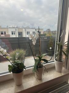 Balkon lub taras w obiekcie Airport Apartment Regata Kiekrz lotnisko