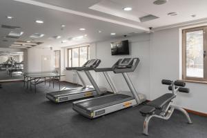 Fitness centrum a/nebo fitness zařízení v ubytování Jannat Resort