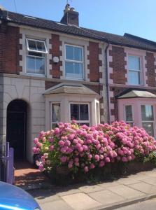 dom z różowymi kwiatami przed nim w obiekcie Victorian Terraced House in Salisbury; 3 bedrooms w mieście Salisbury