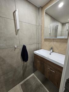 een badkamer met een douche, een wastafel en een spiegel bij Almelose Kanaal in Zwolle