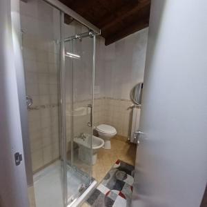 une salle de bain avec une douche en verre et des toilettes dans l'établissement D e c a d e n c e -Wine calling!, à Rovato