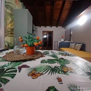 - une chambre avec un lit et une couverture à motifs papillons dans l'établissement D e c a d e n c e -Wine calling!, à Rovato
