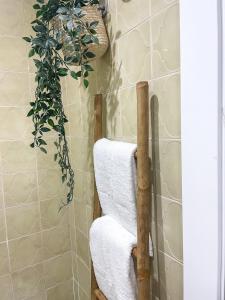 Una escalera de toallas en un baño con una planta en H&H Suite El Mirlo en Granada