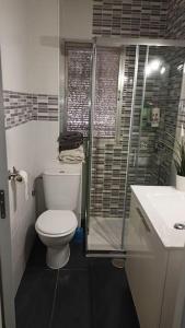 a bathroom with a toilet and a shower and a sink at Casa de Oro in Toledo