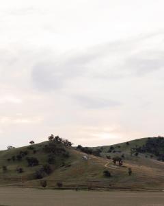 a grassy hill with a road on top of it at Kimo Estate in Gundagai