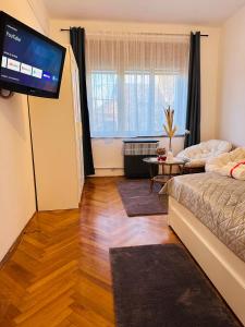 een woonkamer met een bank en een flatscreen-tv bij Rose Apartment in Boedapest
