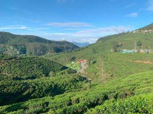 a view of a green valley with a winding road at Aaradhya Nuwara Eliya in Nuwara Eliya