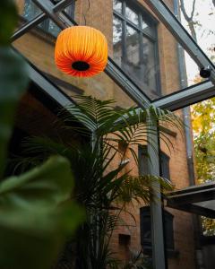 une lumière orange suspendue au-dessus d'une plante devant un bâtiment dans l'établissement sly Berlin, à Berlin