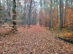 Príroda v okolí apartmánu