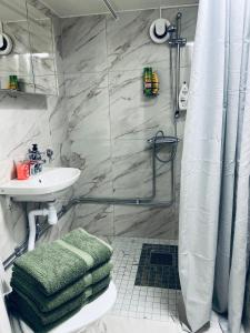 布羅斯的住宿－Lugnt och centralt läge，带淋浴、盥洗盆和浴帘的浴室