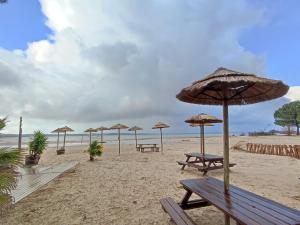a beach with benches and umbrellas on the sand at Mobil home 3 ch 6 pers Camping Mayotte in Biscarrosse