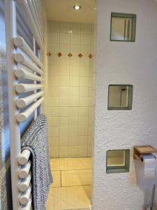 a bathroom with a shower with a sink at Oma's Huus Ostfriesland 2-6 P in Moormerland