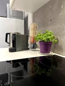 a plant sitting on a counter next to a microwave at Rabat Pied-a-terre in Rabat