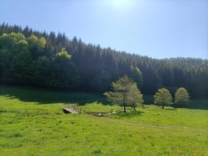Naturlandschaft in der Nähe der Ferienwohnung