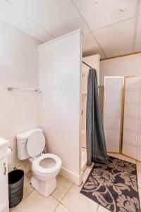 La salle de bains est pourvue d'une douche et de toilettes. dans l'établissement Studio Apt - Easy Access to City and Amazing View, à Pittsburgh