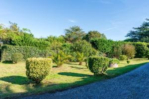 einen Garten mit Büschen und Bäumen und einer Straße in der Unterkunft Maison 3 chambres jardin 2km plage in Boucau