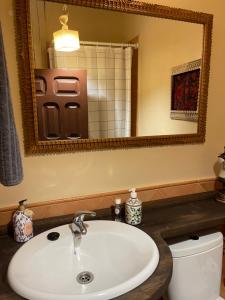 a bathroom with a sink and a mirror and a toilet at Exclusiva casa rural con jardín in Madriguera