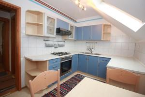 a kitchen with blue cabinets and a stove top oven at Green Oasis in Mozirje