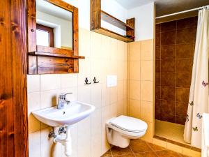 a bathroom with a sink and a toilet and a shower at Levandulová chalupa in Vrbice